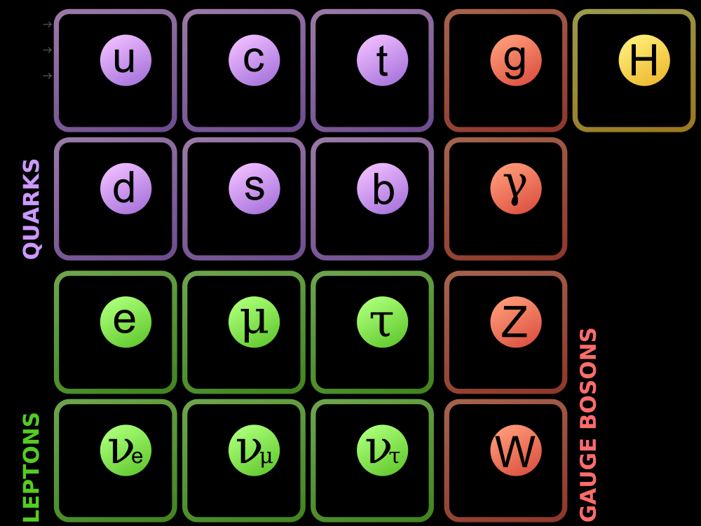 Fermioneja ovat 6 kvarkkia (ylös, alas, outo, lumo, pohja, huippu) ja 6 leptonia (elektroni, elektronin neutriino, myoni, myonin neutriio, tau ja taun neutriino).