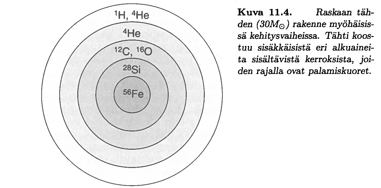 Jättiläisvaiheen loppu (dynaaminen aikaskaala) M < 3M lämpötila ei riitä hiilen palamiseen jättiläisvaiheen lopussa säteilypaine ulko-osat karkaa planetaarinen sumu sisäosat valkoinen kääpiö M = 3