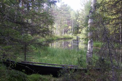 Taikakivi Juojärvellä Karjalan puolella rajaa Maljasalmen kylässä Juojärven Konttilanniemen tyvessä sijaitseva Taikakivi lienee saamelaisaikojen seita.