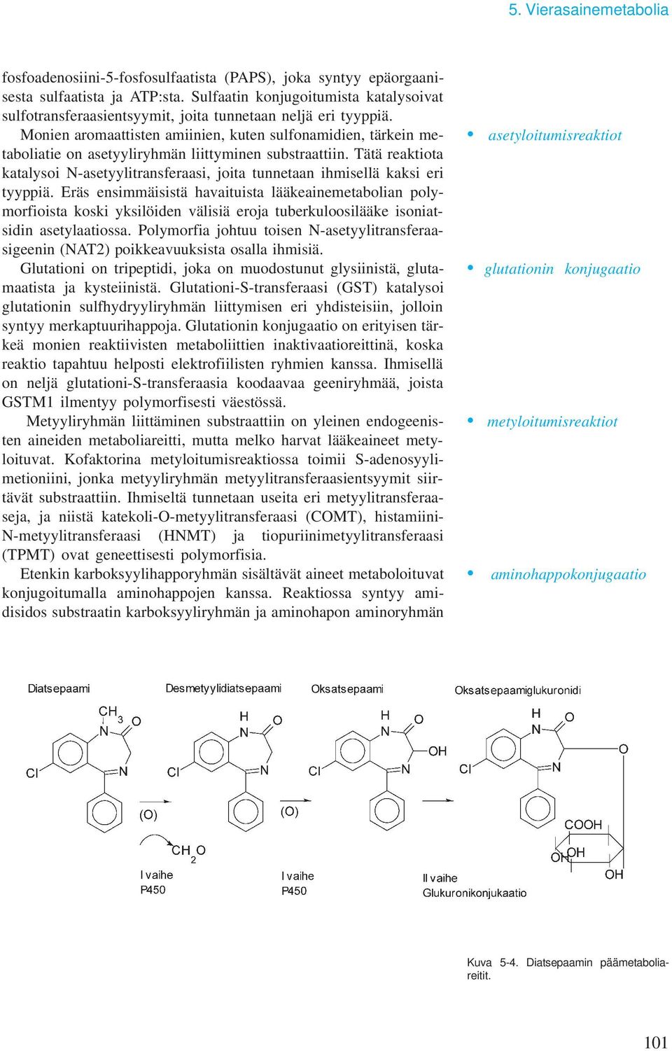 Monien aromaattisten amiinien, kuten sulfonamidien, tärkein metaboliatie on asetyyliryhmän liittyminen substraattiin.