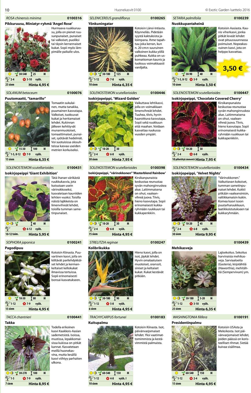 Valkoiset, tuoksuvat kukat ja herttamaiset lehdet. Kukinnan jälkeen kehittyvät munanmuotoiset, tomaattimaiset, punaiset, syötävät hedelmät.