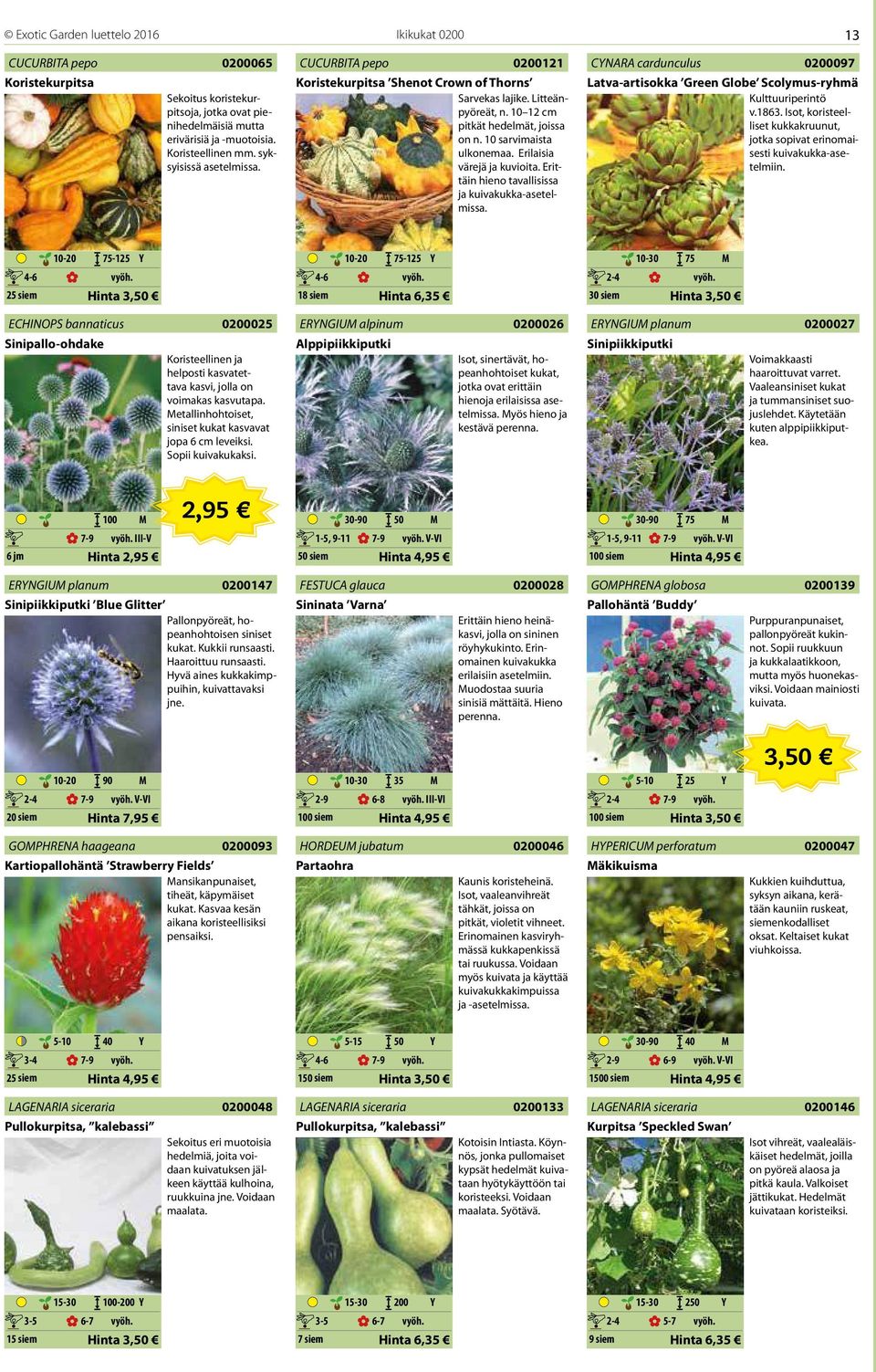 Erilaisia värejä ja kuvioita. Erittäin hieno tavallisissa ja kuivakukka-asetelmissa. CYNARA cardunculus 0200097 Latva-artisokka Green Globe Scolymus-ryhmä Kulttuuriperintö v.1863.