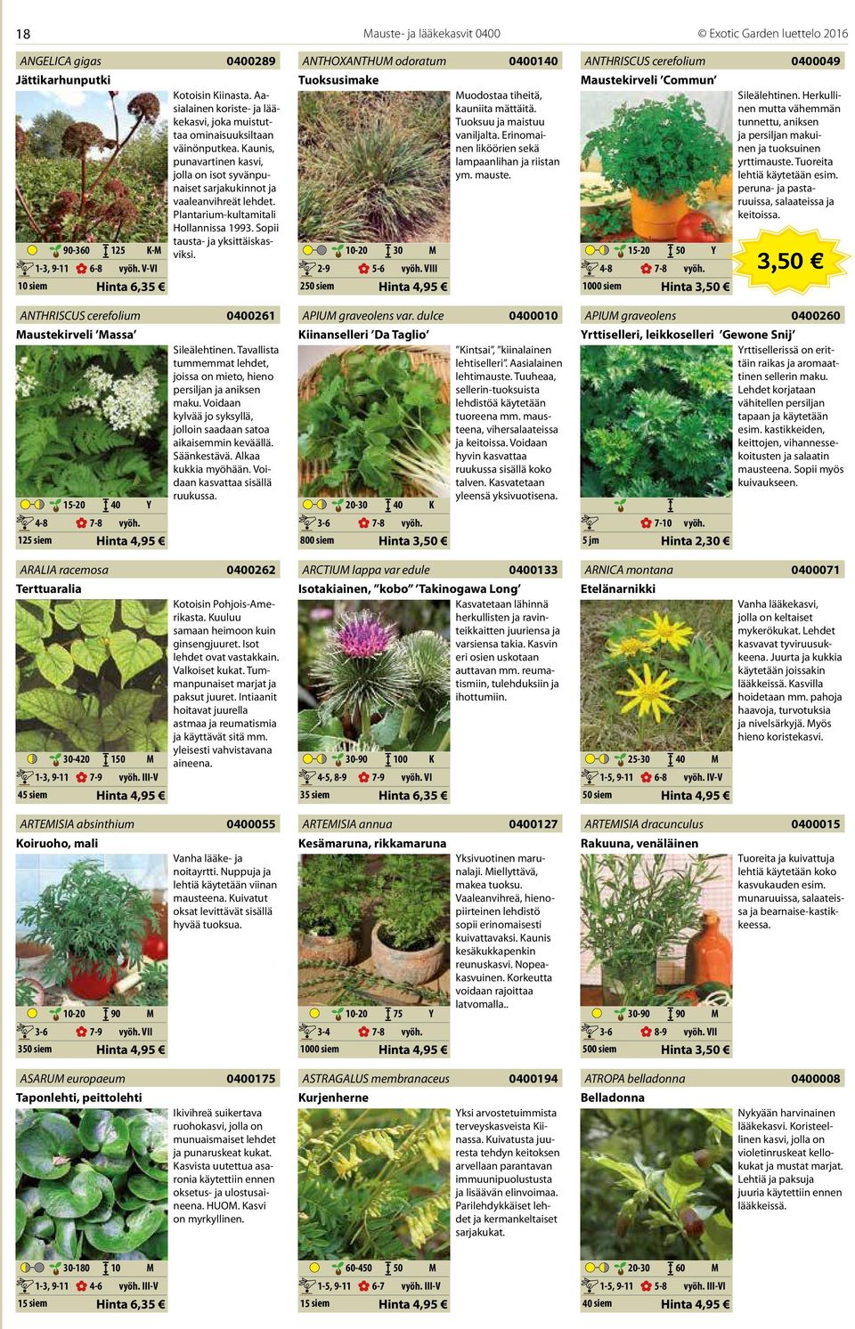 Kaunis, punavartinen kasvi, jolla on isot syvänpunaiset sarjakukinnot ja vaaleanvihreät lehdet. Plantarium-kultamitali Hollannissa 1993. Sopii tausta- ja yksittäiskasviksi. 0400261 Sileälehtinen.