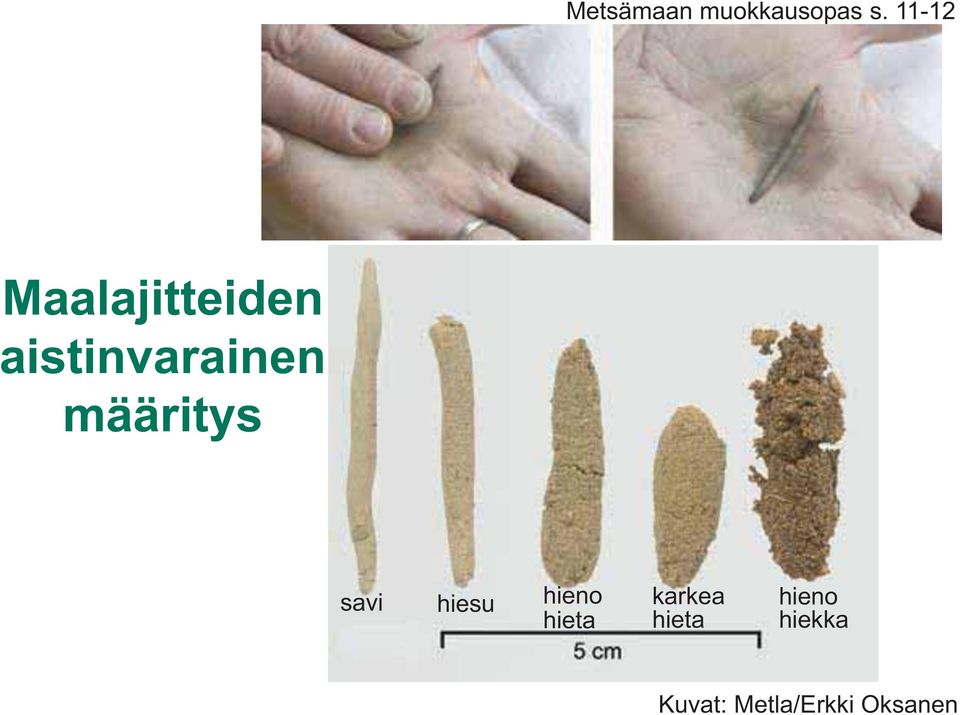 Maalajitteiden aistinvarainen