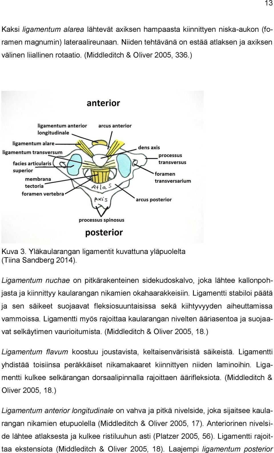 Ligamentum nuchae on pitkärakenteinen sidekudoskalvo, joka lähtee kallonpohjasta ja kiinnittyy kaularangan nikamien okahaarakkeisiin.