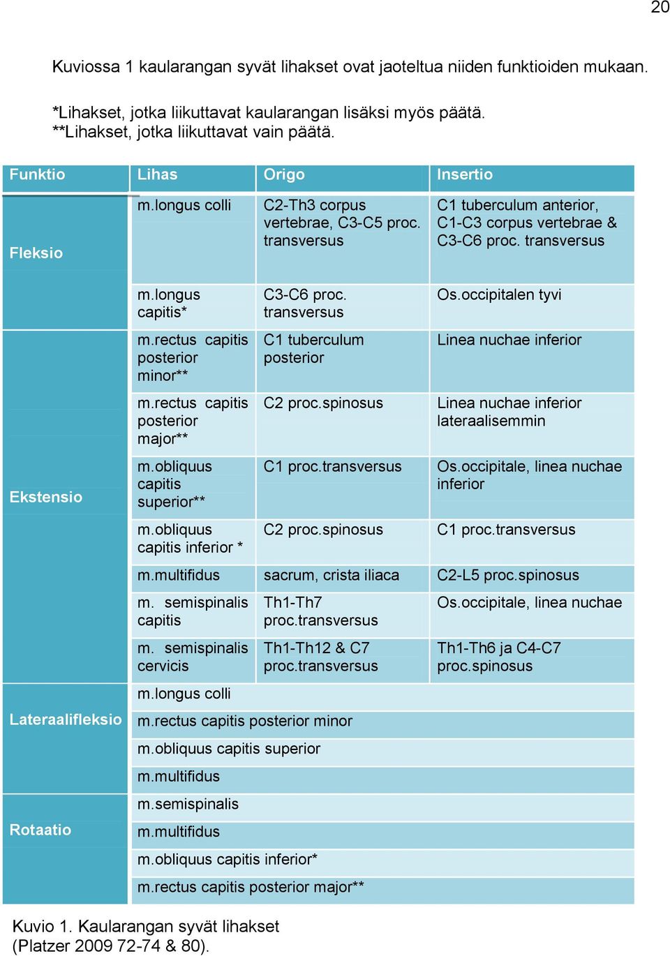 transversus Ekstensio Lateraalifleksio Rotaatio m.longus capitis* m.rectus capitis posterior minor** m.rectus capitis posterior major** m.obliquus capitis superior** m.