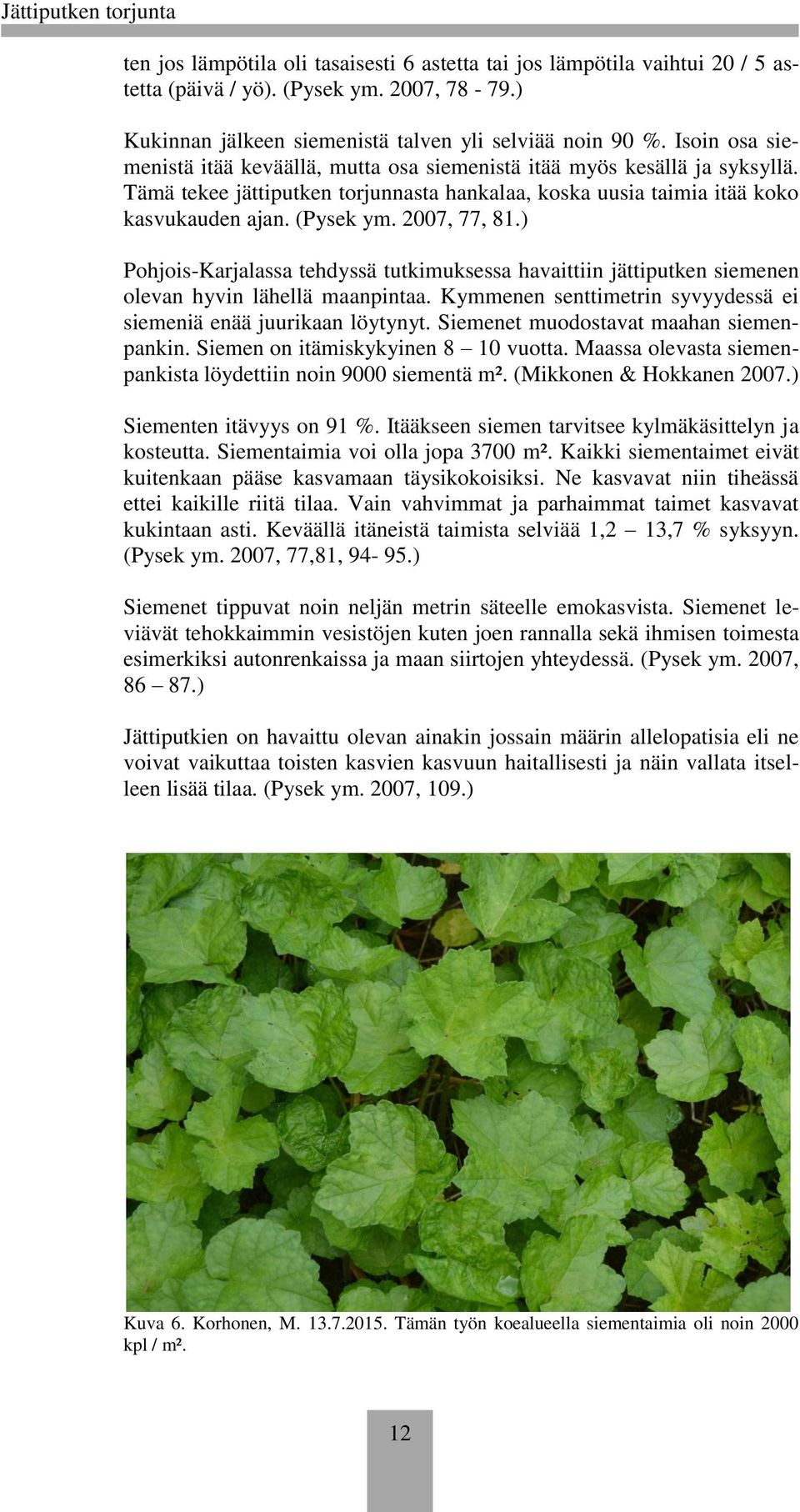 2007, 77, 81.) Pohjois-Karjalassa tehdyssä tutkimuksessa havaittiin jättiputken siemenen olevan hyvin lähellä maanpintaa. Kymmenen senttimetrin syvyydessä ei siemeniä enää juurikaan löytynyt.