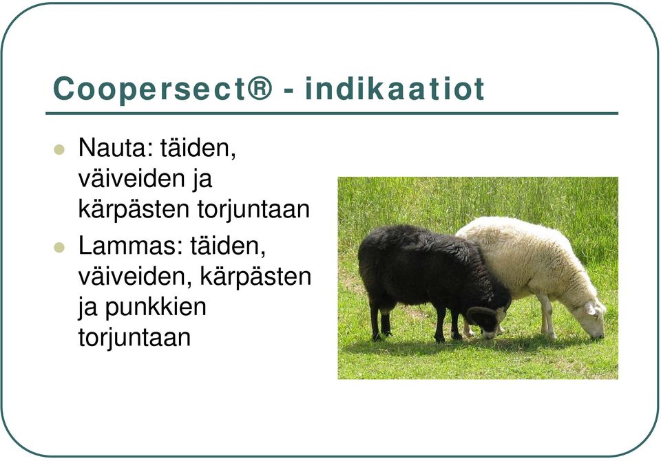 torjuntaan Lammas: täiden,