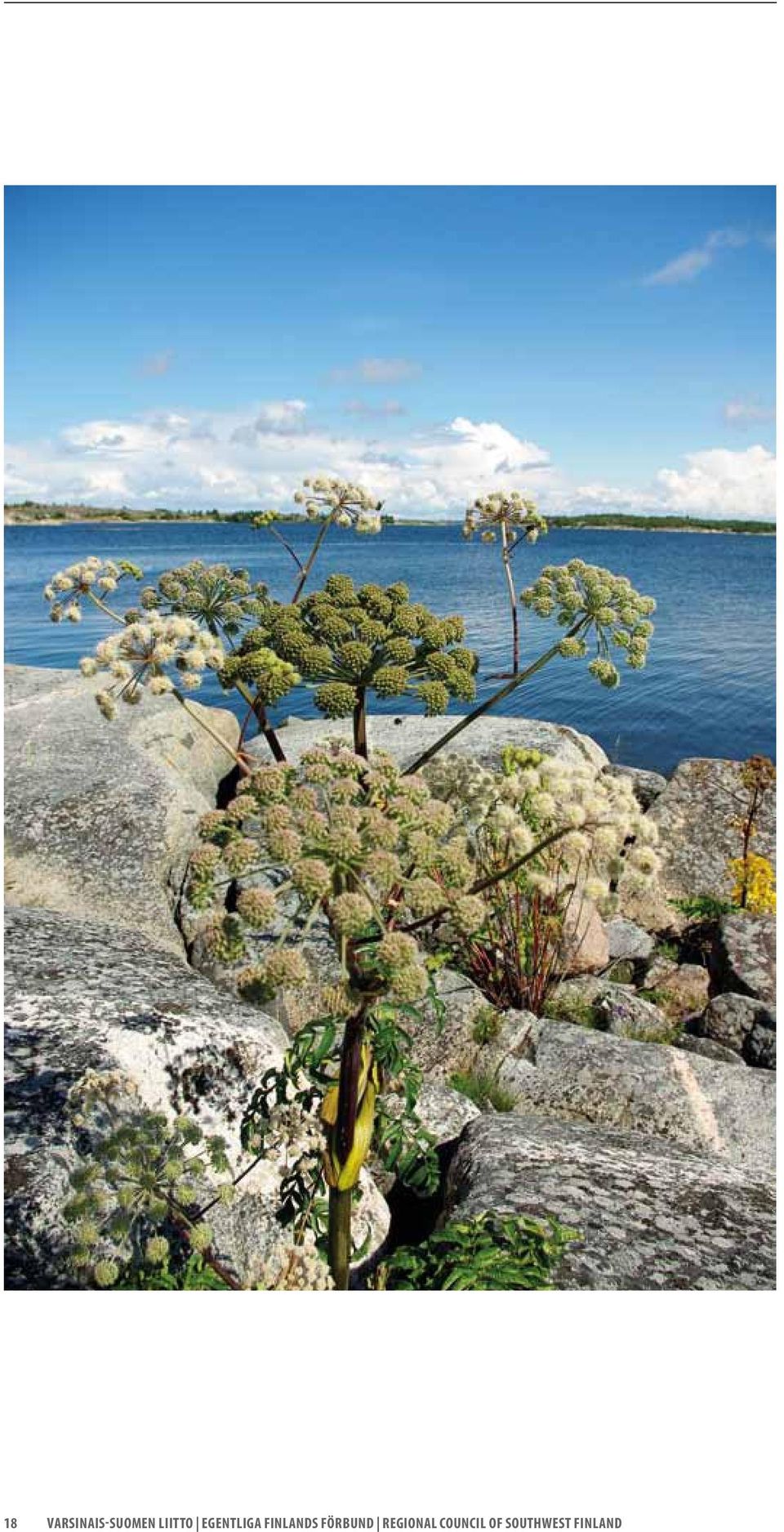finlands förbund