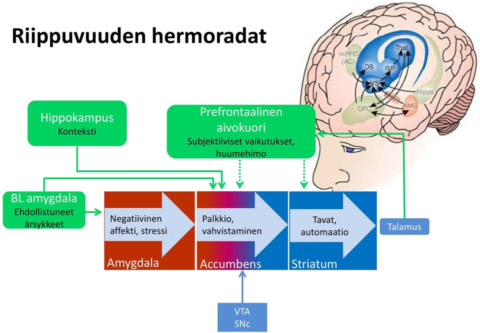 Ehdollistuneet ärsykkeet Negatiivinen affekti, stressi Palkkio,