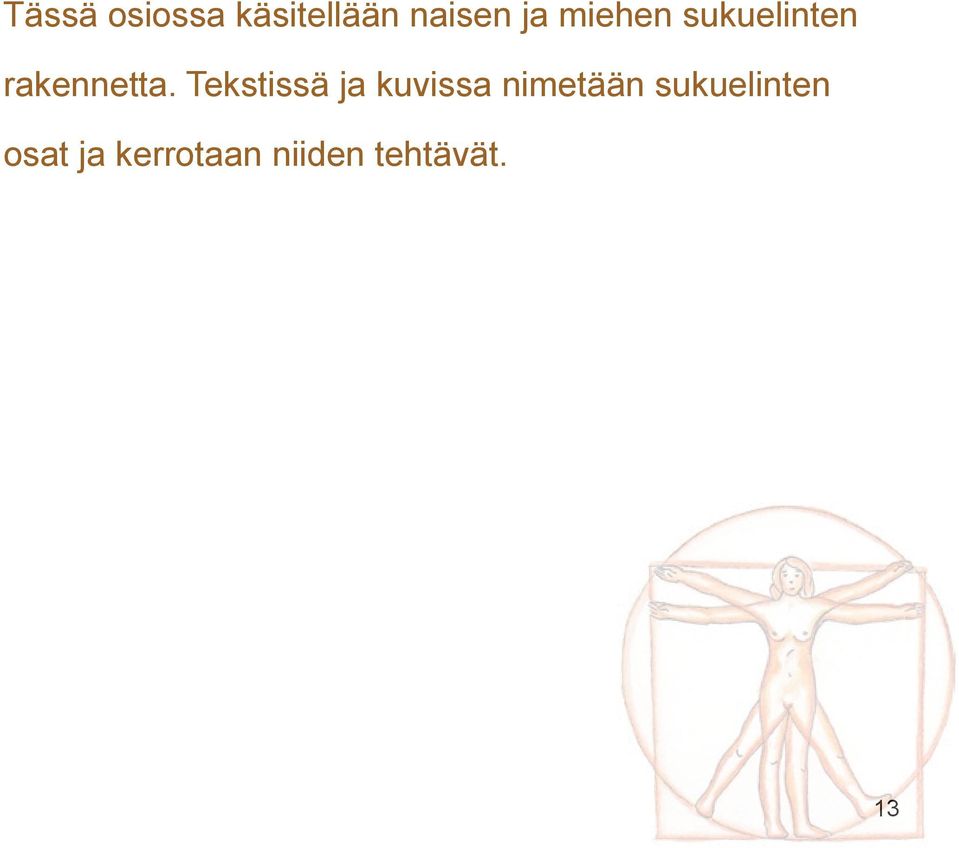 Tekstissä ja kuvissa nimetään