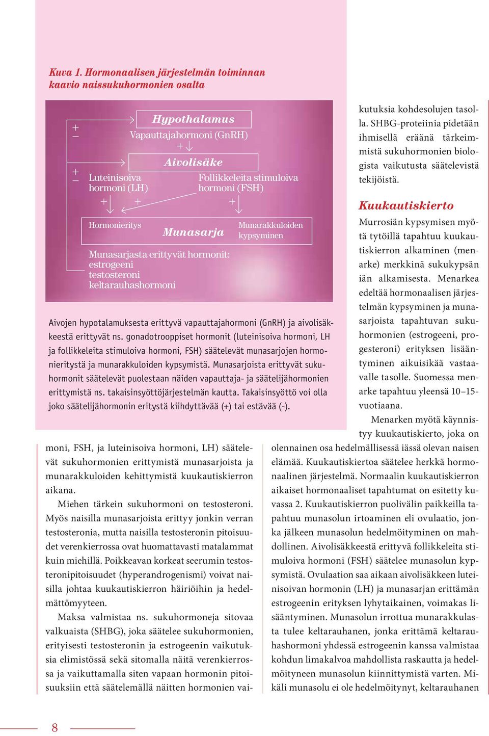 testosteroni keltarauhashormoni Aivolisäke Follikkeleita stimuloiva hormoni (FSH) Munasarja moni, FSH, ja luteinisoiva hormoni, LH) säätelevät sukuhormonien erittymistä munasarjoista ja