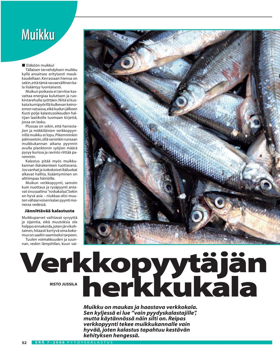 Verkkopyytäjän. herkkukala - PDF Ilmainen lataus