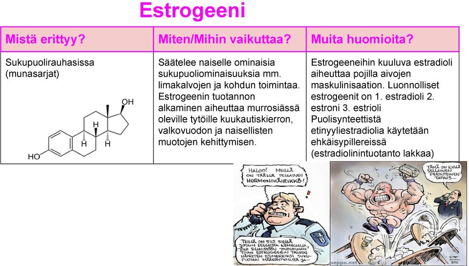 Estrogeenin tuotannon alkaminen aiheuttaa murrosiässä oleville tytöille kuukautiskierron, valkovuodon ja naisellisten muotojen