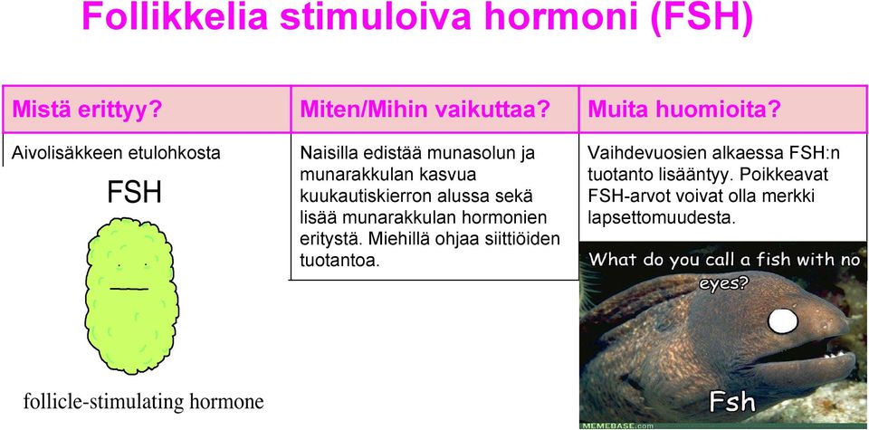 hormonien eritystä. Miehillä ohjaa siittiöiden tuotantoa.