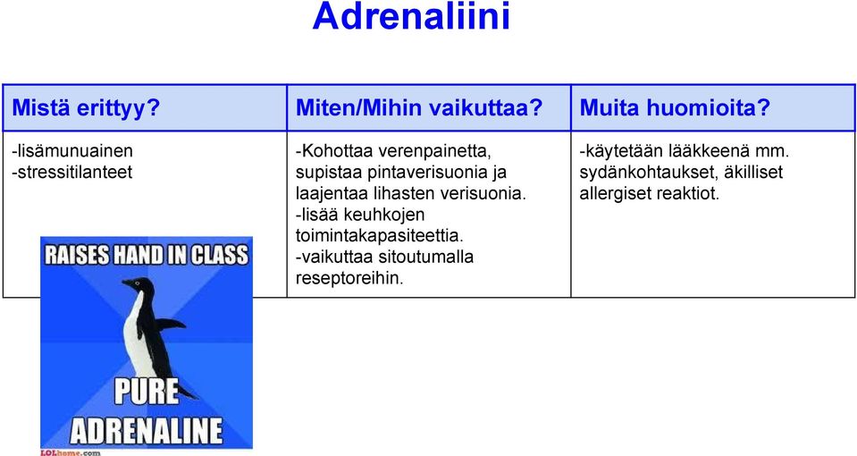 -lisää keuhkojen toimintakapasiteettia.