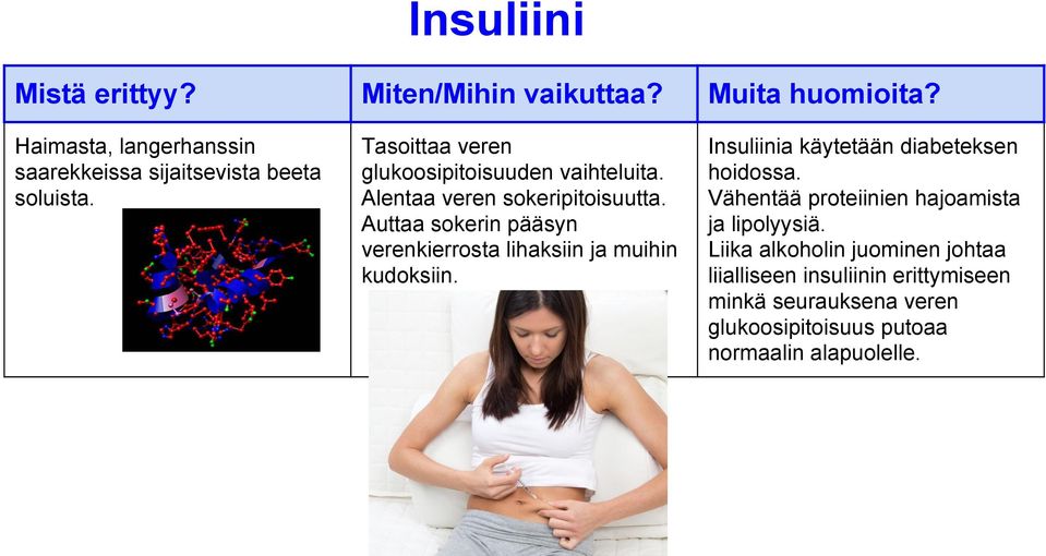 Auttaa sokerin pääsyn verenkierrosta lihaksiin ja muihin kudoksiin. Insuliinia käytetään diabeteksen hoidossa.