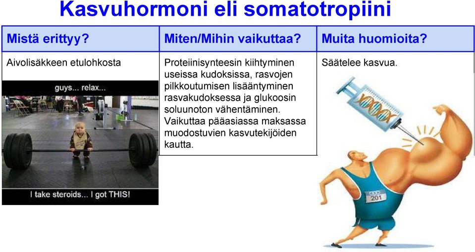 pilkkoutumisen lisääntyminen rasvakudoksessa ja glukoosin soluunoton