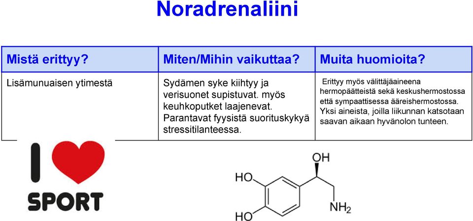 Erittyy myös välittäjäaineena hermopäätteistä sekä keskushermostossa että