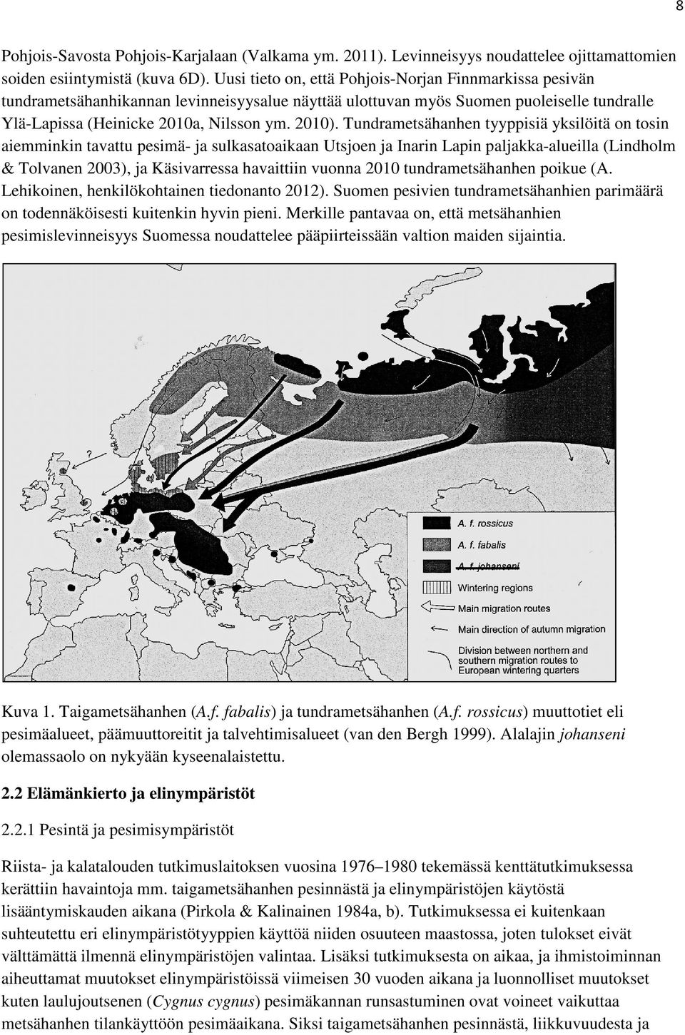 Tundrametsähanhen tyyppisiä yksilöitä on tosin aiemminkin tavattu pesimä- ja sulkasatoaikaan Utsjoen ja Inarin Lapin paljakka-alueilla (Lindholm & Tolvanen 2003), ja Käsivarressa havaittiin vuonna