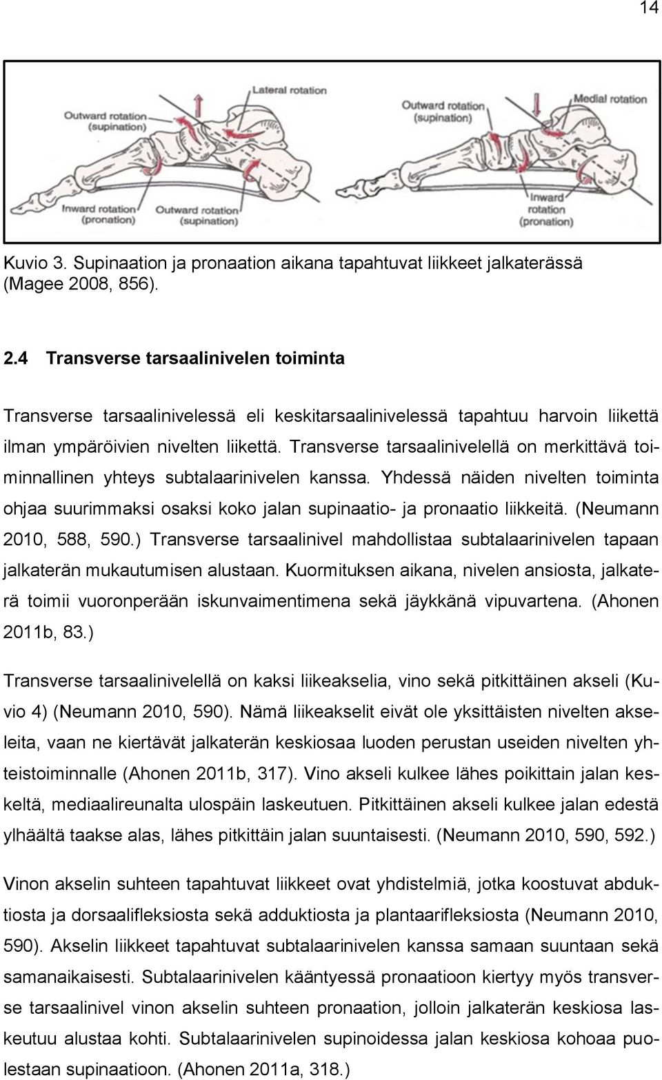 Transverse tarsaalinivelellä on merkittävä toiminnallinen yhteys subtalaarinivelen kanssa. Yhdessä näiden nivelten toiminta ohjaa suurimmaksi osaksi koko jalan supinaatio- ja pronaatio liikkeitä.