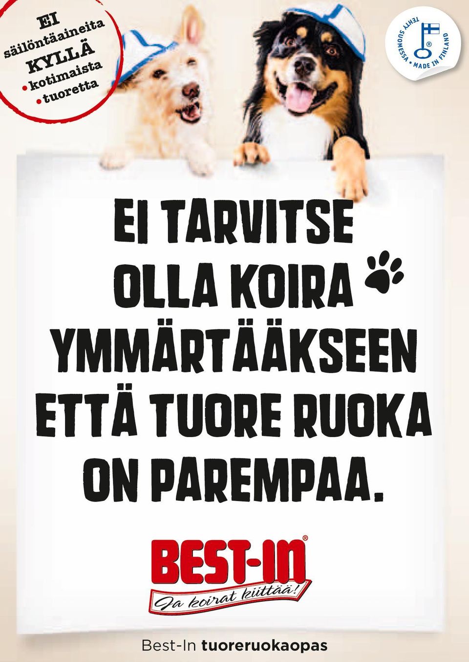 OLLA KOIRA YMMÄRTÄÄKSEEN ETTÄ