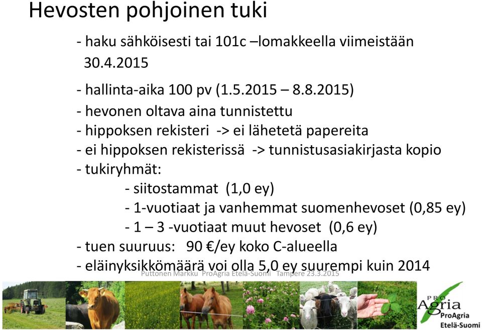 tunnistusasiakirjasta kopio - tukiryhmät: - siitostammat (1,0 ey) - 1-vuotiaat ja vanhemmat suomenhevoset (0,85 ey) - 1 3