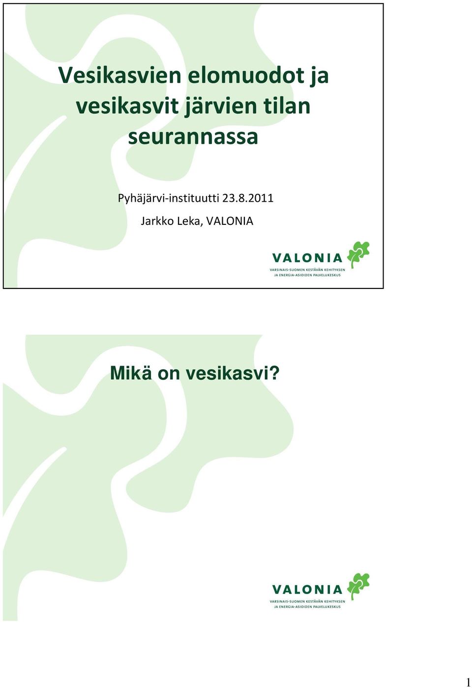 Vesikasvien ja rantakasvien raja on usein venyvä käsite.