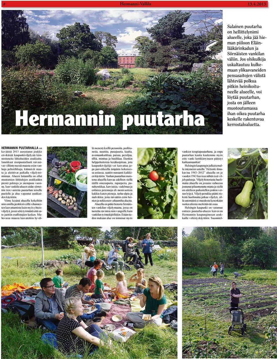 keskelle rakentuvaa kerrostaloaluetta. Hermannin puutarhalla on keväästä 2013 uurastanut joukko eri-ikäisiä kaupunkiviljelystä kiinnostuneita lähialueiden asukkaita.