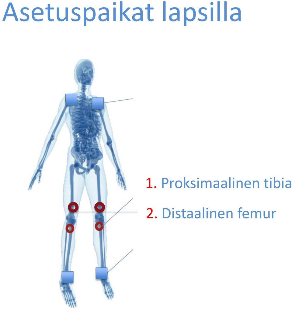 1. Proksimaalinen