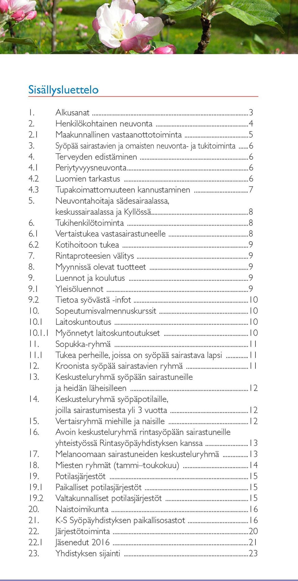 Tukihenkilötoiminta...8 6.1 Vertaistukea vastasairastuneelle...8 6.2 Kotihoitoon tukea...9 7. Rintaproteesien välitys...9 8. Myynnissä olevat tuotteet...9 9. Luennot ja koulutus...9 9.1 Yleisöluennot.