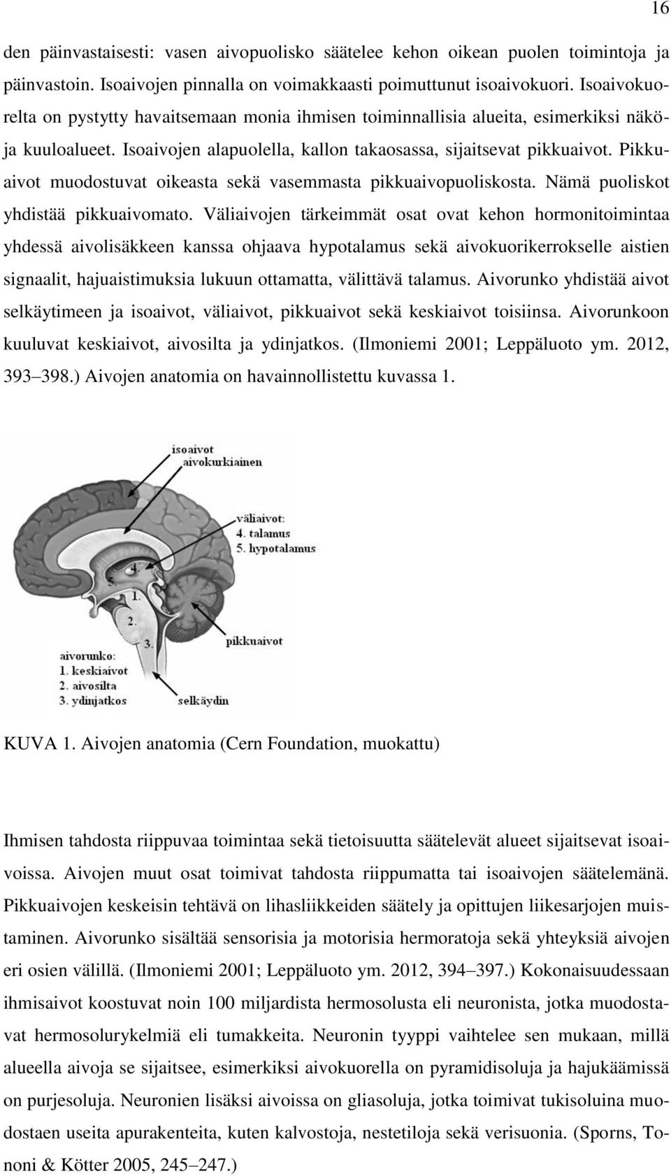 Pikkuaivot muodostuvat oikeasta sekä vasemmasta pikkuaivopuoliskosta. Nämä puoliskot yhdistää pikkuaivomato.