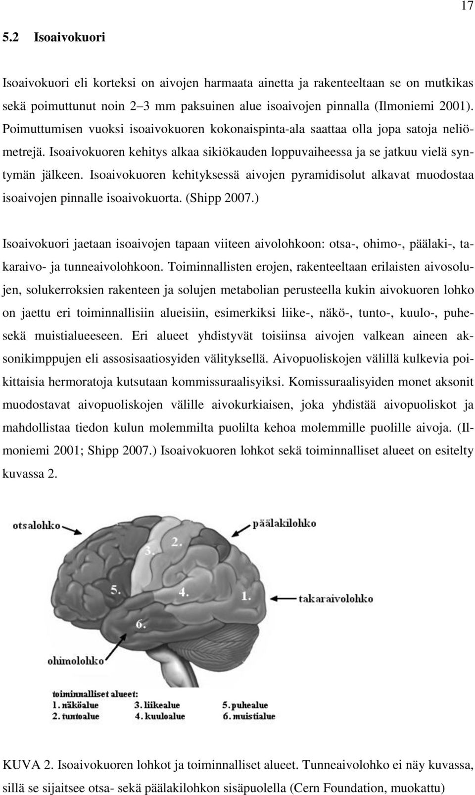 Isoaivokuoren kehityksessä aivojen pyramidisolut alkavat muodostaa isoaivojen pinnalle isoaivokuorta. (Shipp 2007.