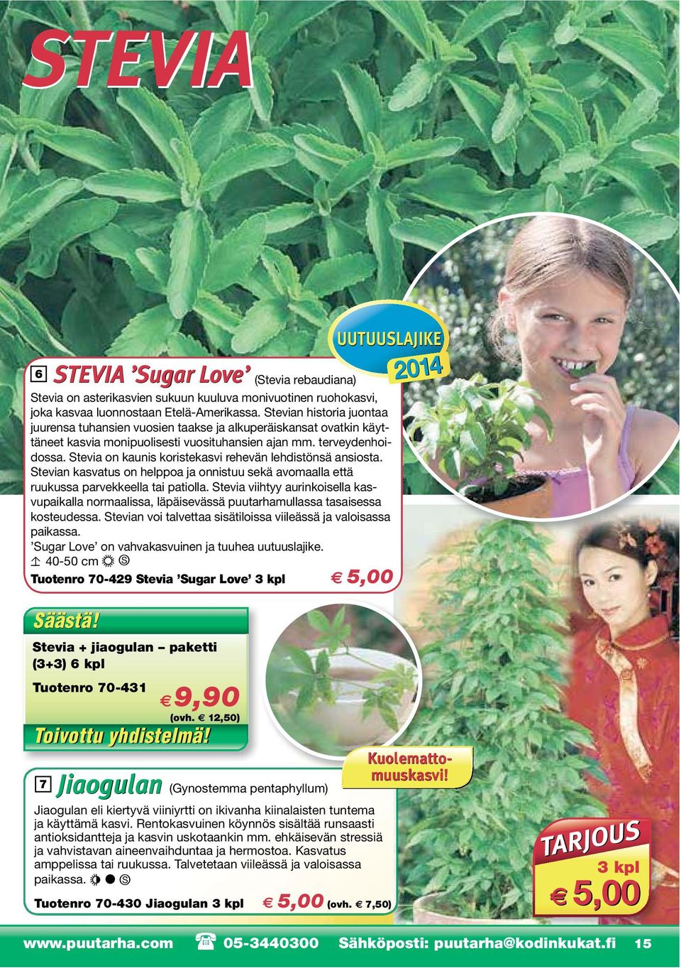 Stevia on kaunis koristekasvi rehevän lehdistönsä ansiosta. Stevian kasvatus on helppoa ja onnistuu sekä avomaalla että ruukussa parvekkeella tai patiolla.