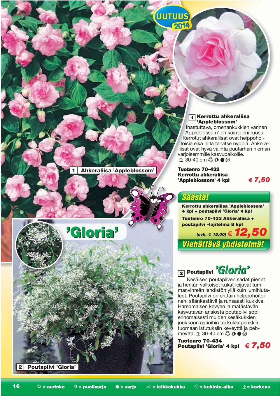 30-40 cm s h M Tuotenro 70-432 Kerrottu ahkeraliisa Appleblossom' 4 kpl 7,50 Säästä!