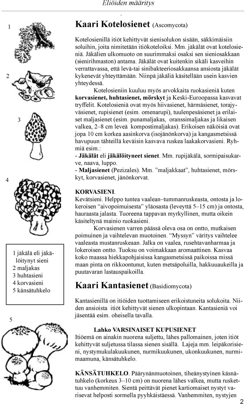 Jäkälät ovat kuitenkin sikäli kasveihin verrattavassa, että levä-tai sinibakteeriosakkaansa ansiosta jäkälät kykenevät yhteyttämään. Niinpä jäkäliä käsitellään usein kasvien yhteydessä.