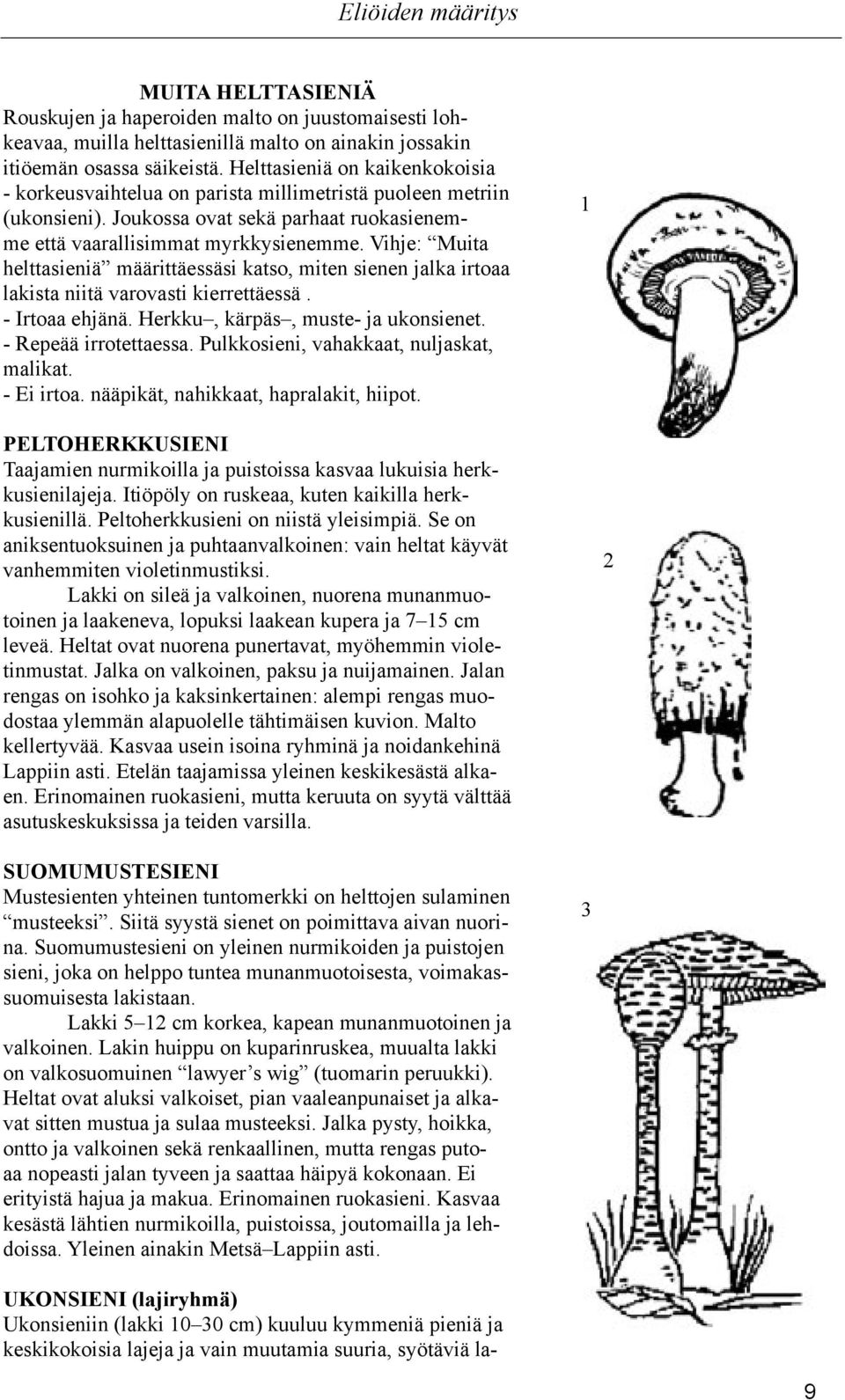 Vihje: Muita helttasieniä määrittäessäsi katso, miten sienen jalka irtoaa lakista niitä varovasti kierrettäessä. - Irtoaa ehjänä. Herkku, kärpäs, muste- ja ukonsienet. - Repeää irrotettaessa.