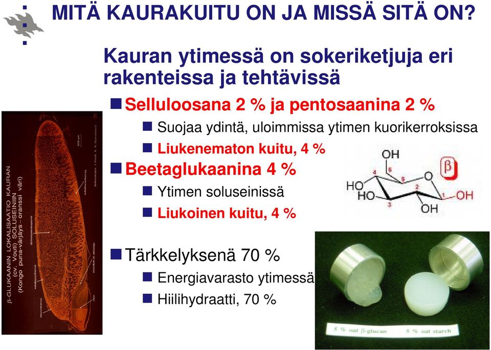 pentosaanina 2 % Suojaa ydintä, uloimmissa ytimen kuorikerroksissa Liukenematon