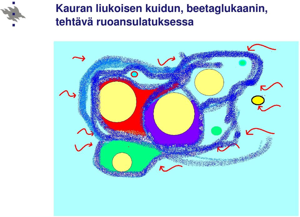beetaglukaanin,