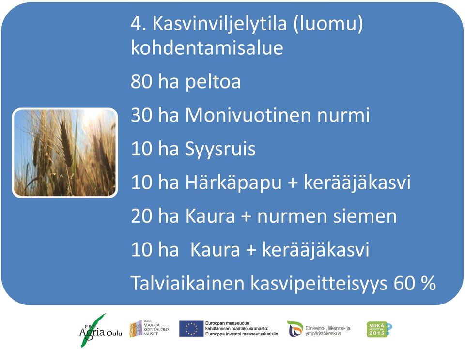 Härkäpapu + kerääjäkasvi 20 ha Kaura + nurmen siemen