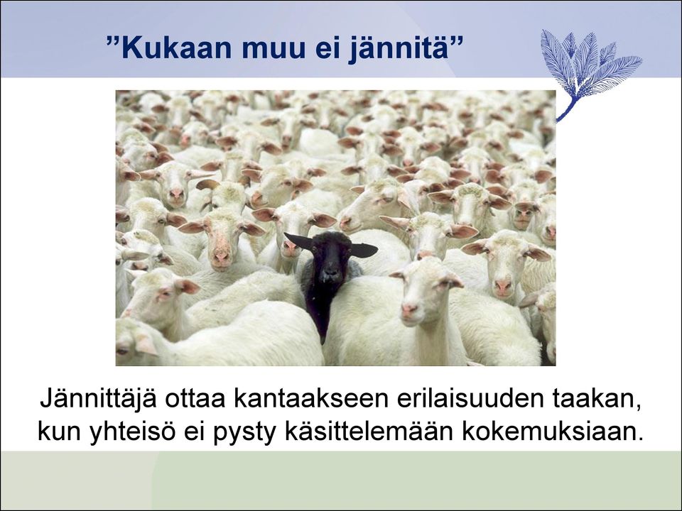 erilaisuuden taakan, kun