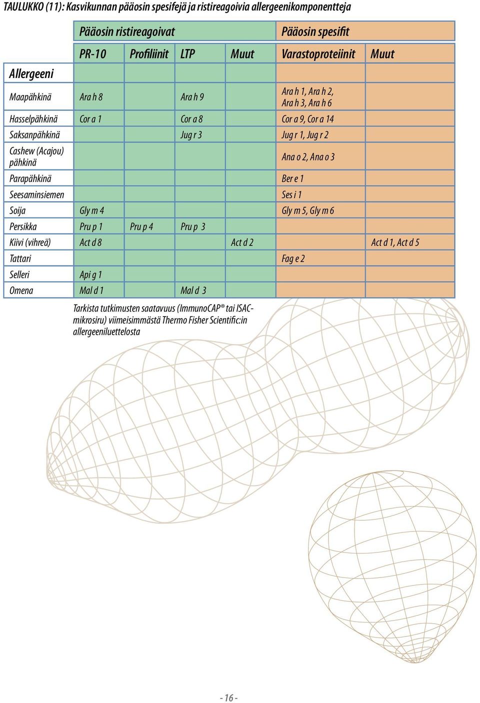 (Acajou) pähkinä Ana o 2, Ana o 3 Parapähkinä Ber e 1 Seesaminsiemen Ses i 1 Soija Gly m 4 Gly m 5, Gly m 6 Persikka Pru p 1 Pru p 4 Pru p 3 Kiivi (vihreä) Act d 8 Act d 2 Act d