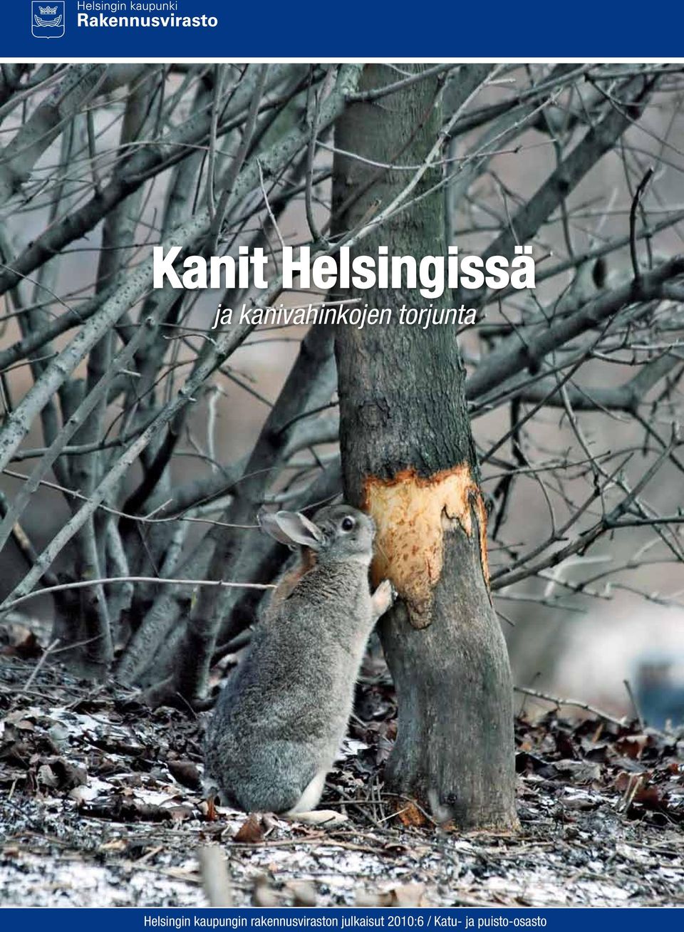 Helsingin kaupungin