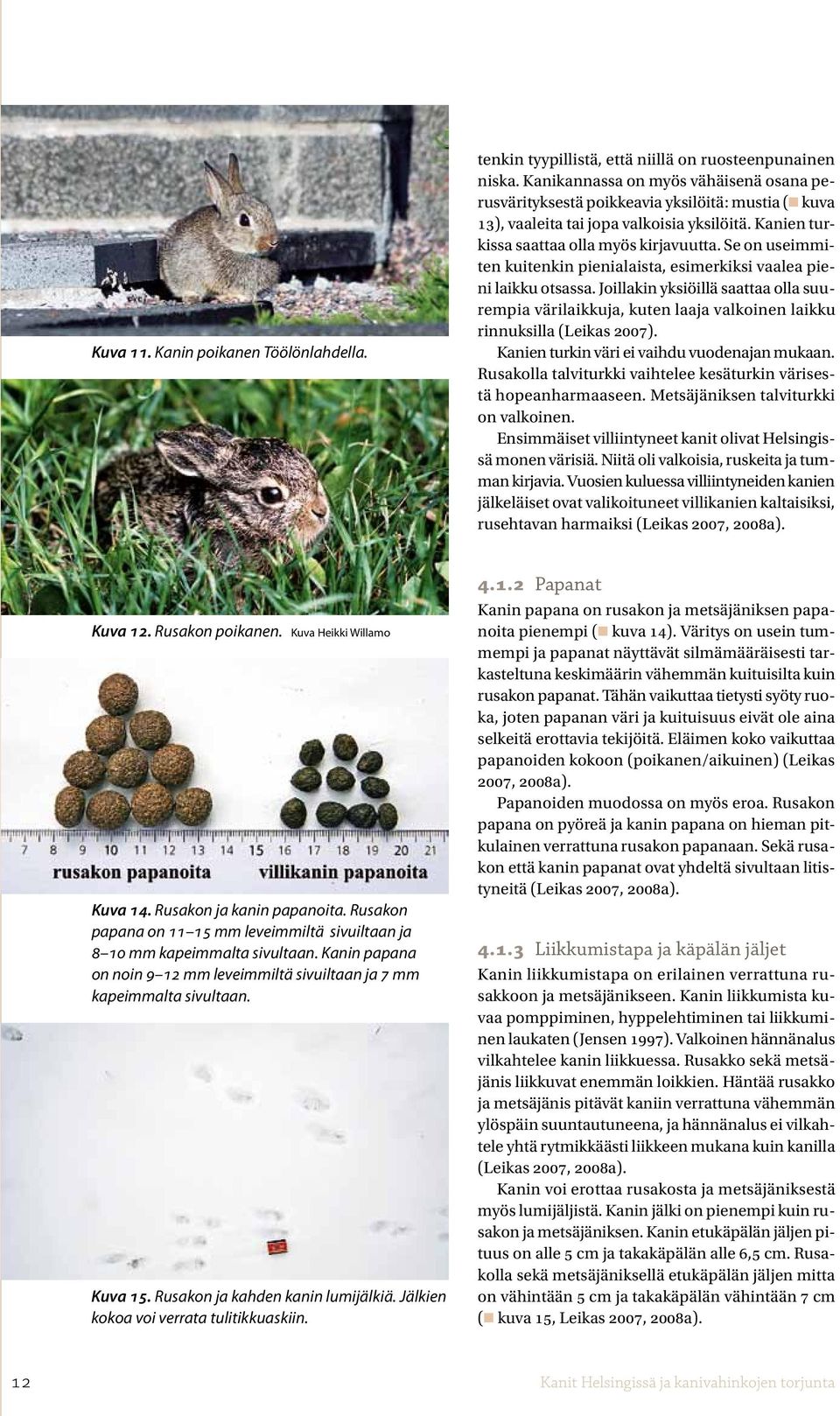 Se on useimmiten kuitenkin pienialaista, esimerkiksi vaalea pieni laikku otsassa. Joillakin yksiöillä saattaa olla suurempia värilaikkuja, kuten laaja valkoinen laikku rinnuksilla (Leikas 2007).