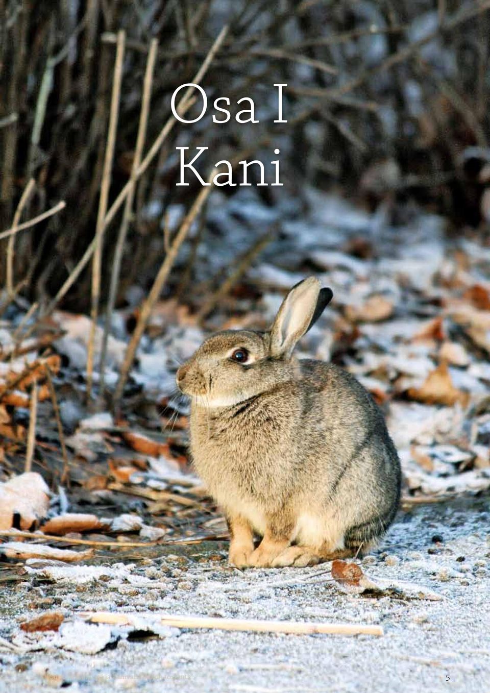 Helsingissä ja
