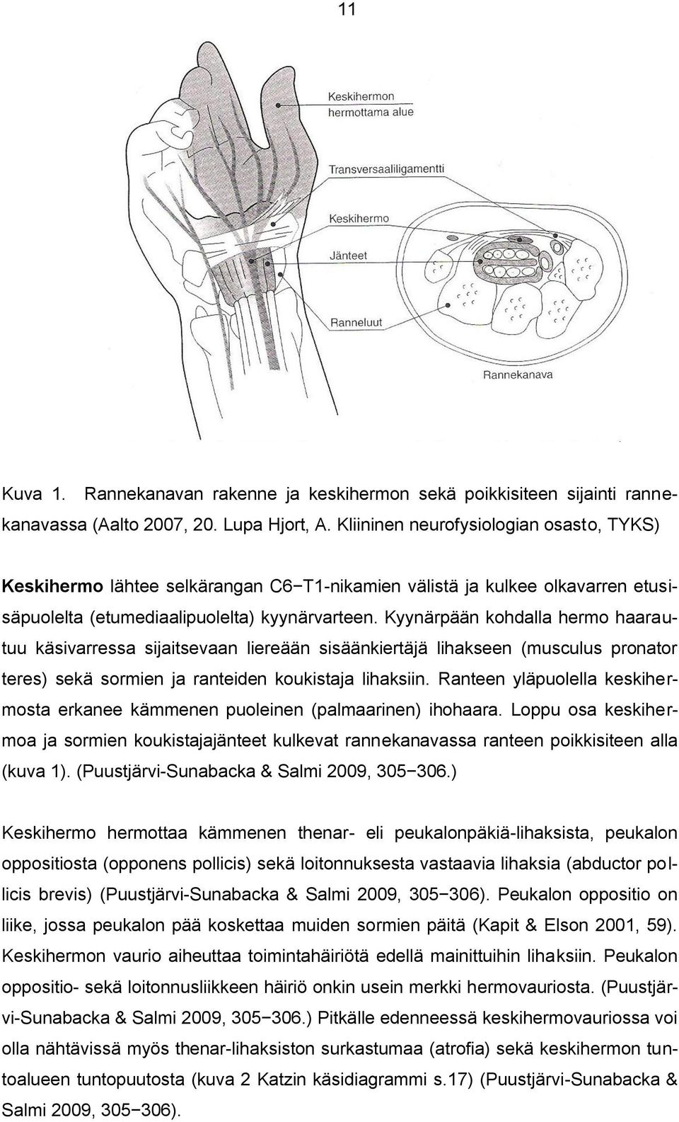 Kyynärpään kohdalla hermo haarautuu käsivarressa sijaitsevaan liereään sisäänkiertäjä lihakseen (musculus pronator teres) sekä sormien ja ranteiden koukistaja lihaksiin.
