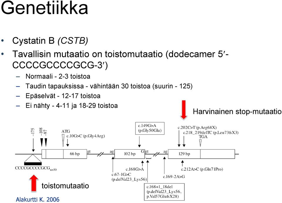 - vähintään 30 toistoa (suurin - 125) Epäselvät - 12-17 toistoa Ei nähty