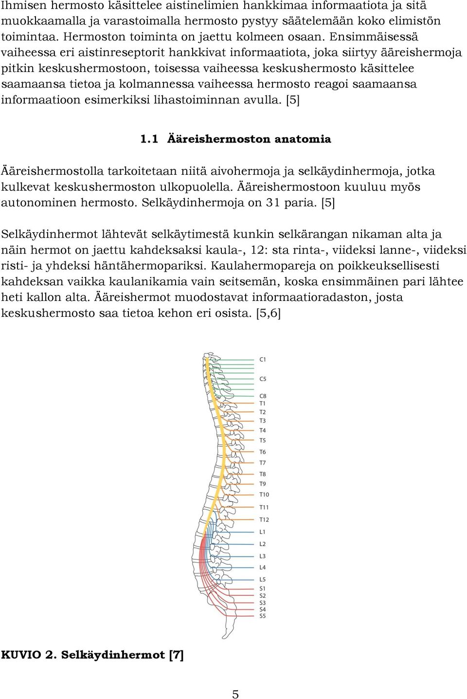 Ensimmäisessä vaiheessa eri aistinreseptorit hankkivat informaatiota, joka siirtyy ääreishermoja pitkin keskushermostoon, toisessa vaiheessa keskushermosto käsittelee saamaansa tietoa ja kolmannessa