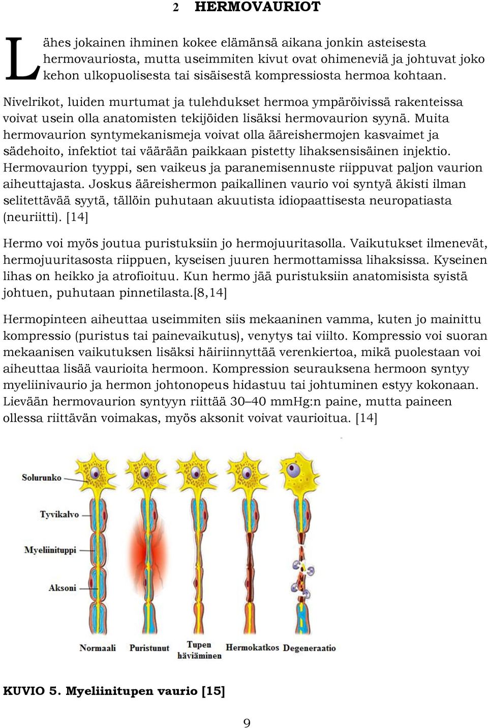 Muita hermovaurion syntymekanismeja voivat olla ääreishermojen kasvaimet ja sädehoito, infektiot tai väärään paikkaan pistetty lihaksensisäinen injektio.