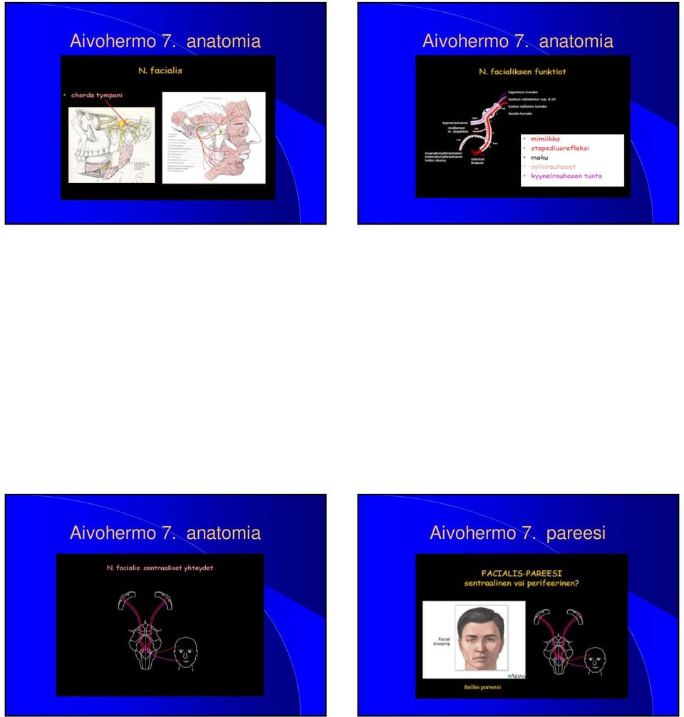 anatomia  pareesi